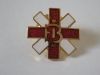Pins - 'B.I.' Logo